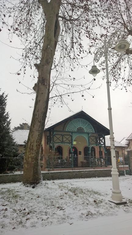 Vila Regina Palić Exterior foto