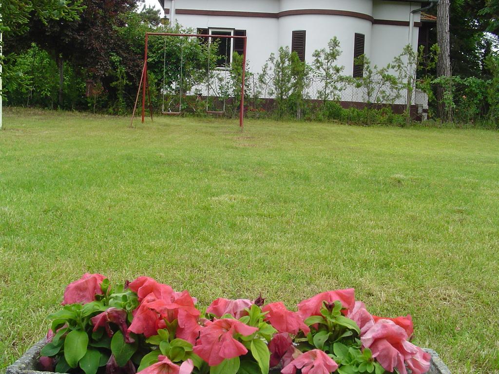 Vila Regina Palić Cameră foto